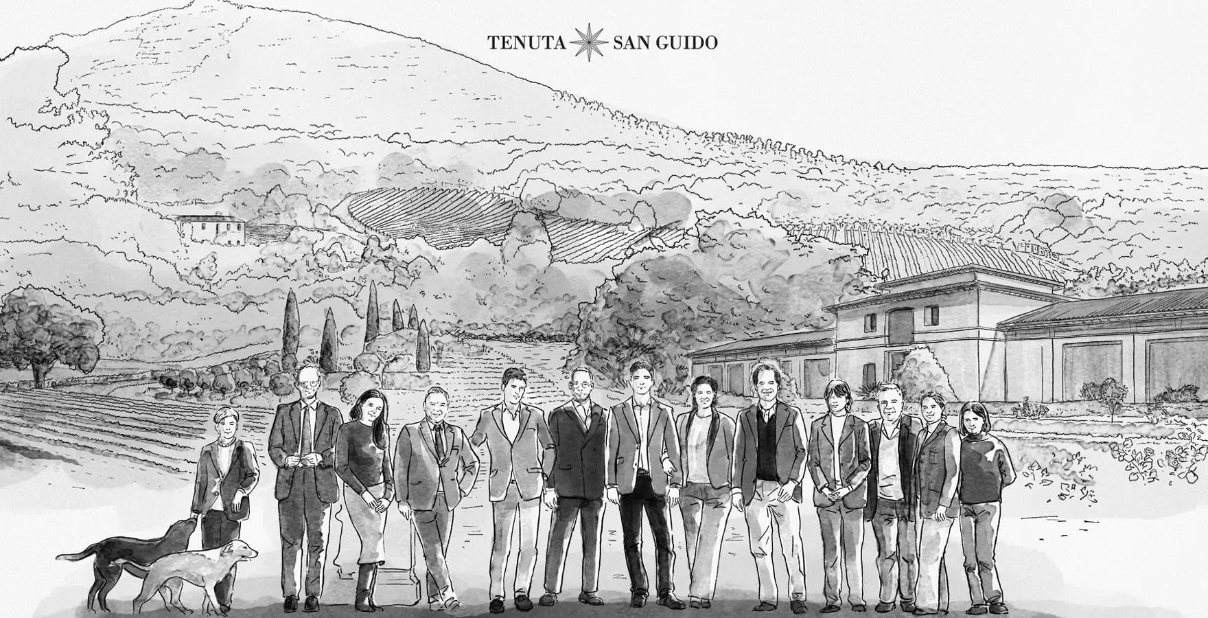 illustration tenuta san guido